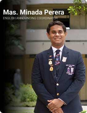 Committee Member