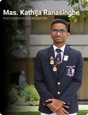 Committee Member