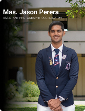 Committee Member